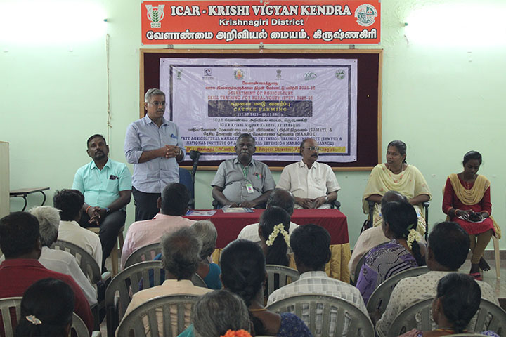 Cattle Farming training